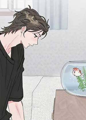Winsome Oranda