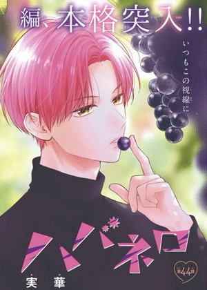 粉色与哈瓦那辣椒